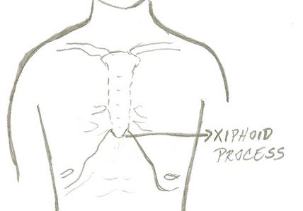 xiphoid process location in human body