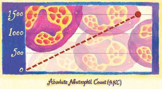 Absolute neutrophil count