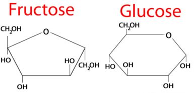 Structure of glucose and fructose