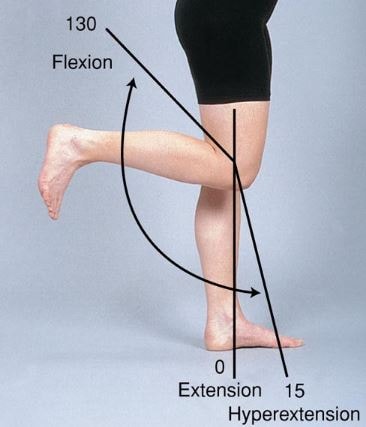 Hyperextension, flexion, extension of Knee degrees