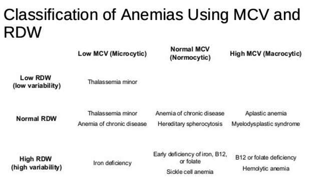 what-is-mcv-blood-test-causes-symptoms-of-high-low-mcv-levels-in-blood-dxsaver