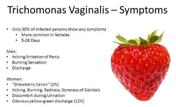 Trichomonas Vaginalis Pictures What Is Treatment Symptoms Causes 3234