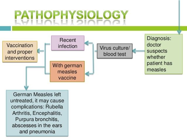 rubella-pathogenesis-3