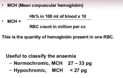 mch-blood-test