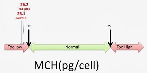 mch blood test low-high-normal-values