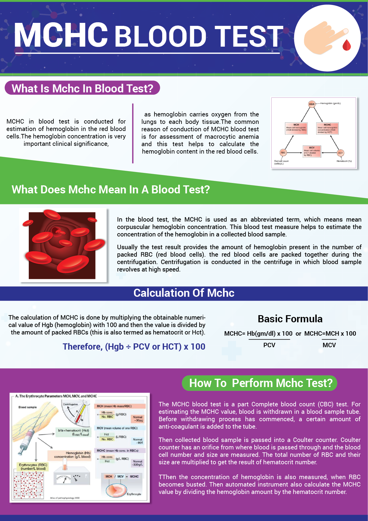 In Blood Work Results What Is Mchc