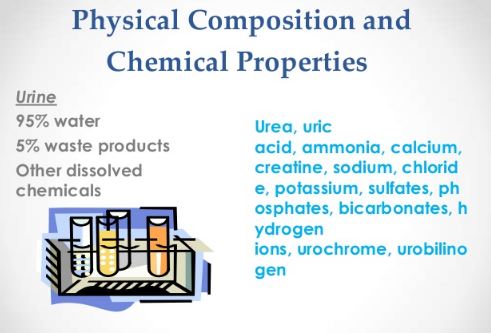 Urinalysis Physical Components and Chemical Analysis