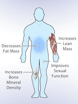 Low testosterone treatment injections