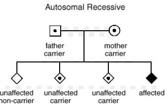 genetics of usher syndrome