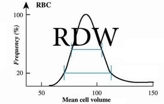 mpv in blood test