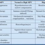 high mpv levels